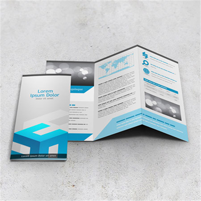 Tri-Fold Brochures